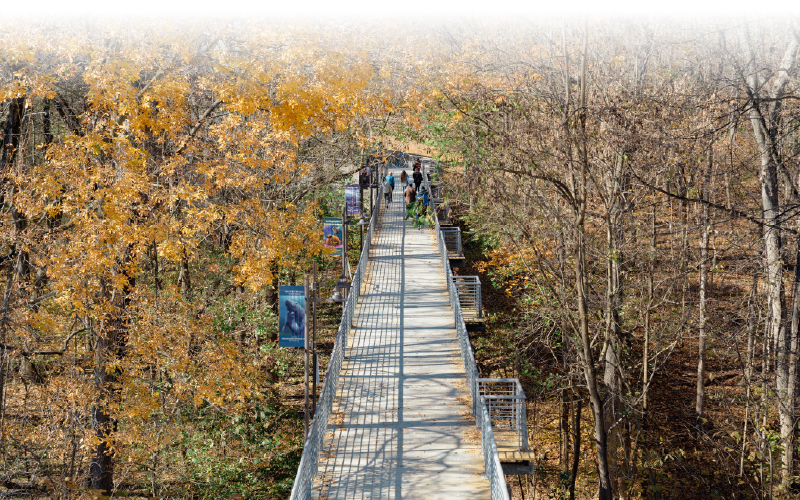 Chesapeake Watershed Forum