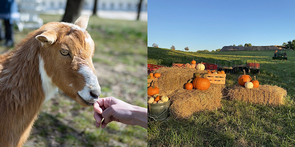 Destination Agritourism Workshop