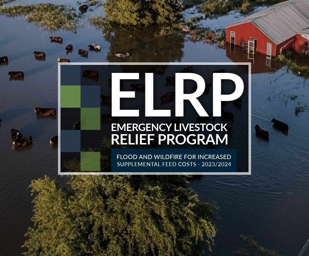 FSA National Outreach & Education Update – September 2025