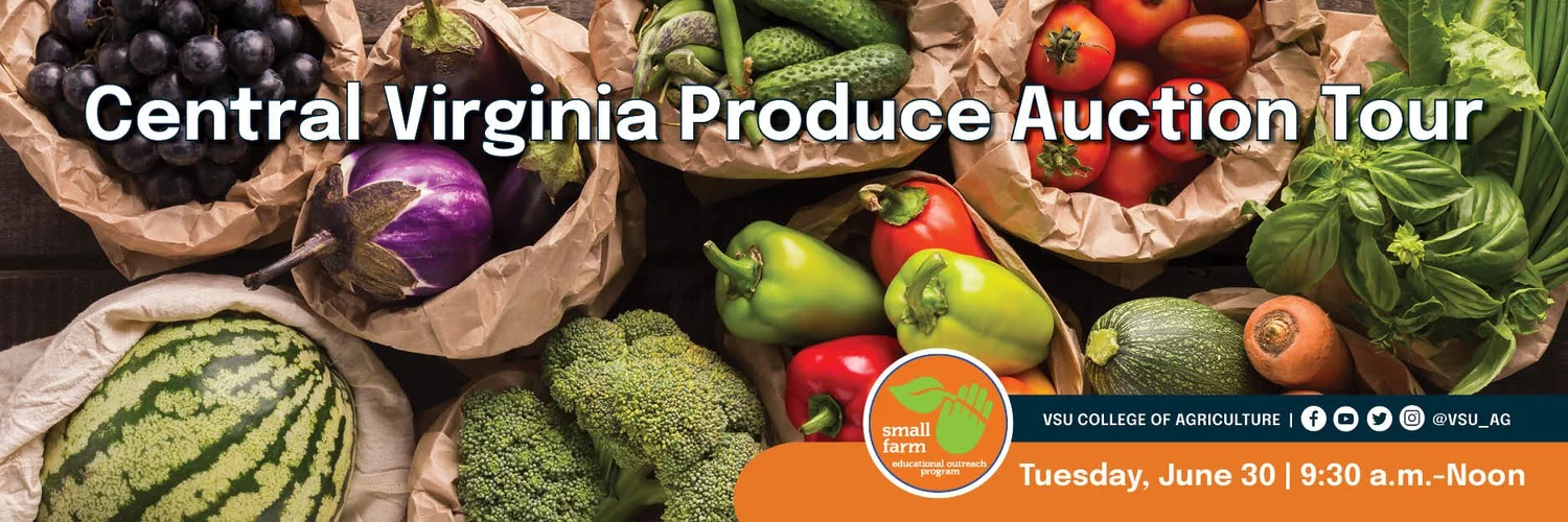 Central Virginia Produce Auction Tour