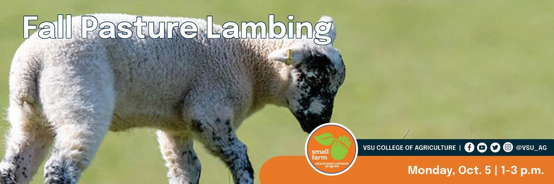 Fall Pasture Lambing