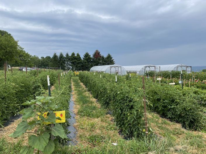 Grow Your Production Skills With Farm Courses Starting in November