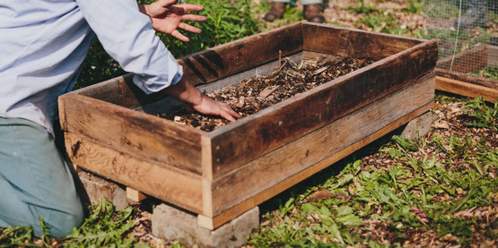 Join Us for Air Pruned Raised Beds Events Series Across the State this October