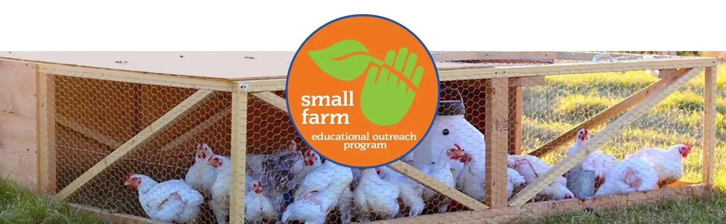 Coop Camp, Part 1: Planning the Flock