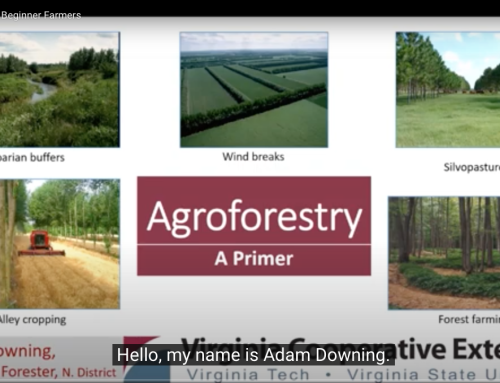 Agroforestry for Beginner Farmers
