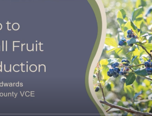 Intro to Small Fruit Production