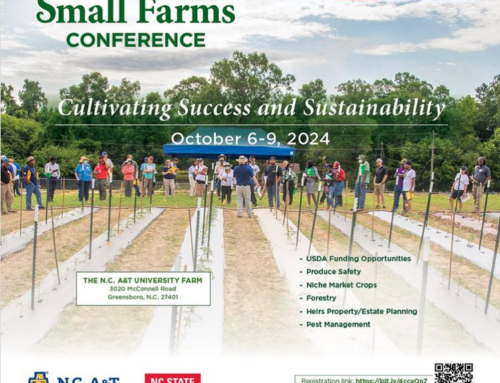 Cultivating Success and Sustainability Conference