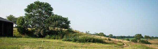 Whole Farm Planning (Halifax, VA)