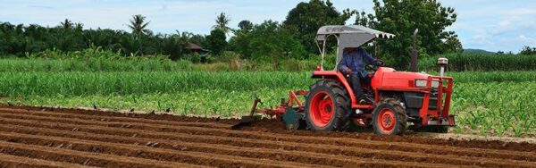 August 20, 9:00-11:00 am: Small Farm Orientation (Virtual)