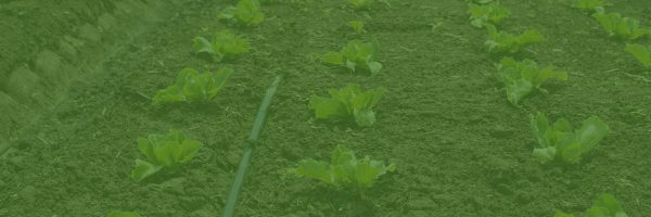 Agribusiness Production and Financial Management Class