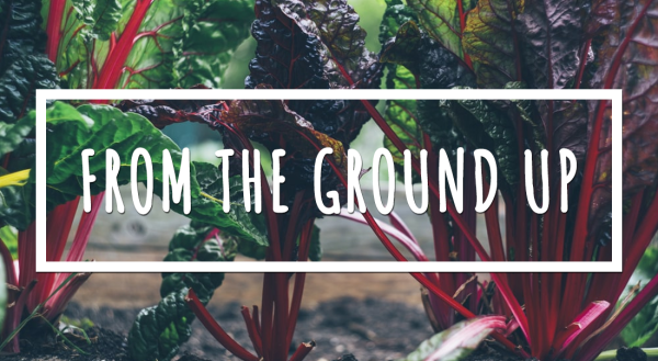 NASDA GAP Toolkit, Investments in Community Food and More