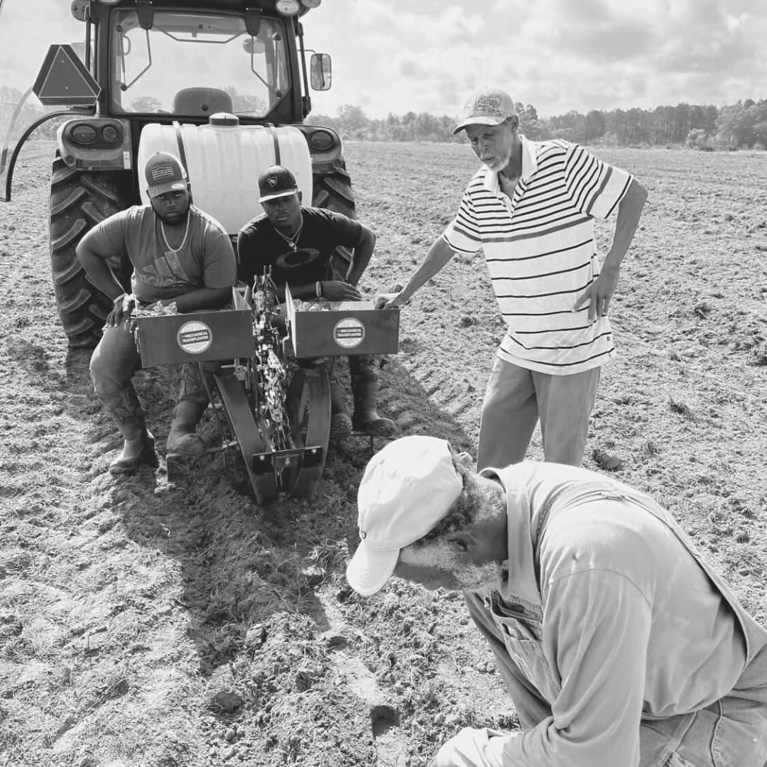 Inflation Reduction Act Legislating Broken Promises to Black Farmers